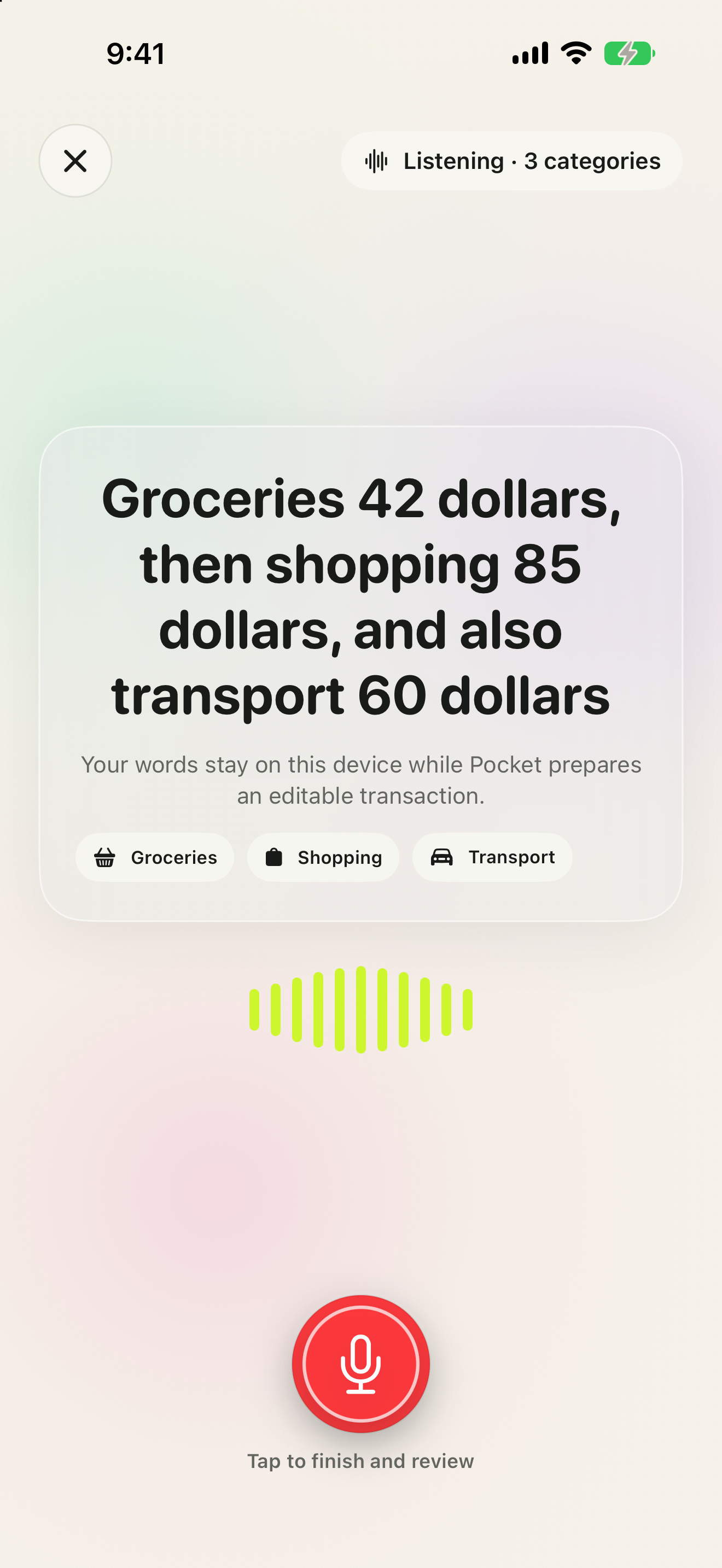 Neole recognizing three spoken expense categories